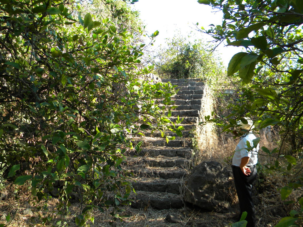 DSCN8077 .JPG